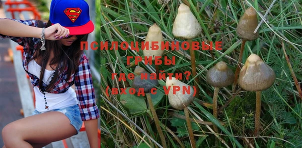 ALPHA-PVP Богородск