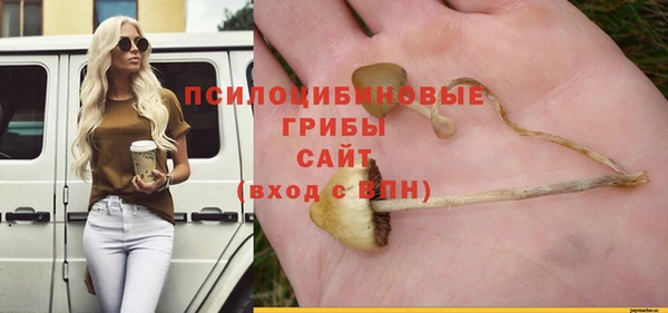 мет Богородицк